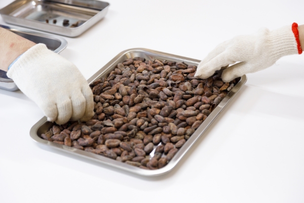 カカオニブを使ったオリジナル商品「KOTOWA」 焙煎した豆を砕いて皮などの余計なものを除く